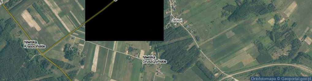 Zdjęcie satelitarne Niwiska Gruszczyńskie ul.